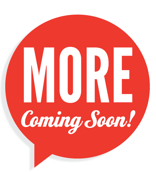 SANHE Logistics provides international and domestic standard parcel